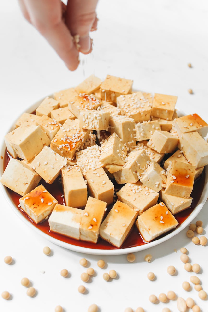 photo of tofu with soy sauce and sesame seeds